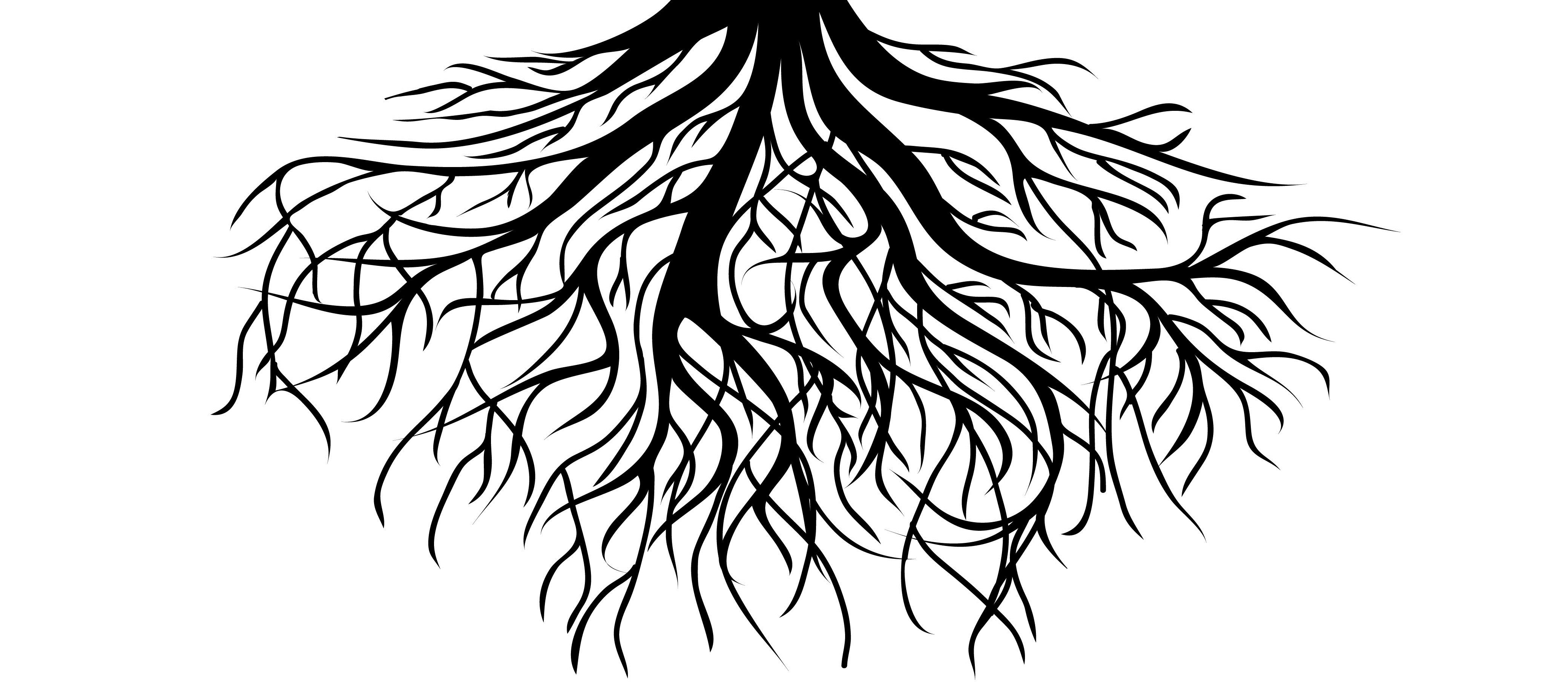 Корни черно белая. Корни дерева. Силуэт дерева. Дерево на прозрачном фоне. Дерево с корнями вектор.