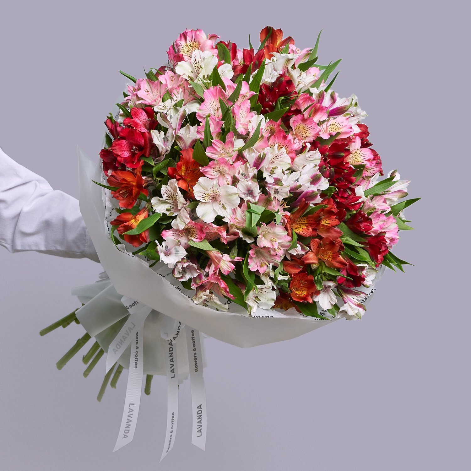 Букеты альстромерии купить недорого в Москве – заказать цветы с доставкой, цены от ₽