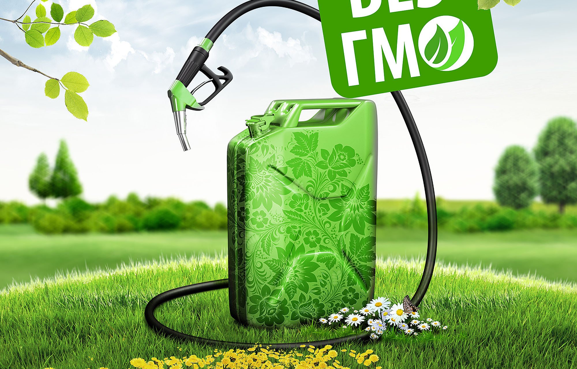 Использование биотоплива. Биодизель биоэтанол. Жидкое биотопливо биодизель. Биотопливо 2 поколения. Рапс биодизель.