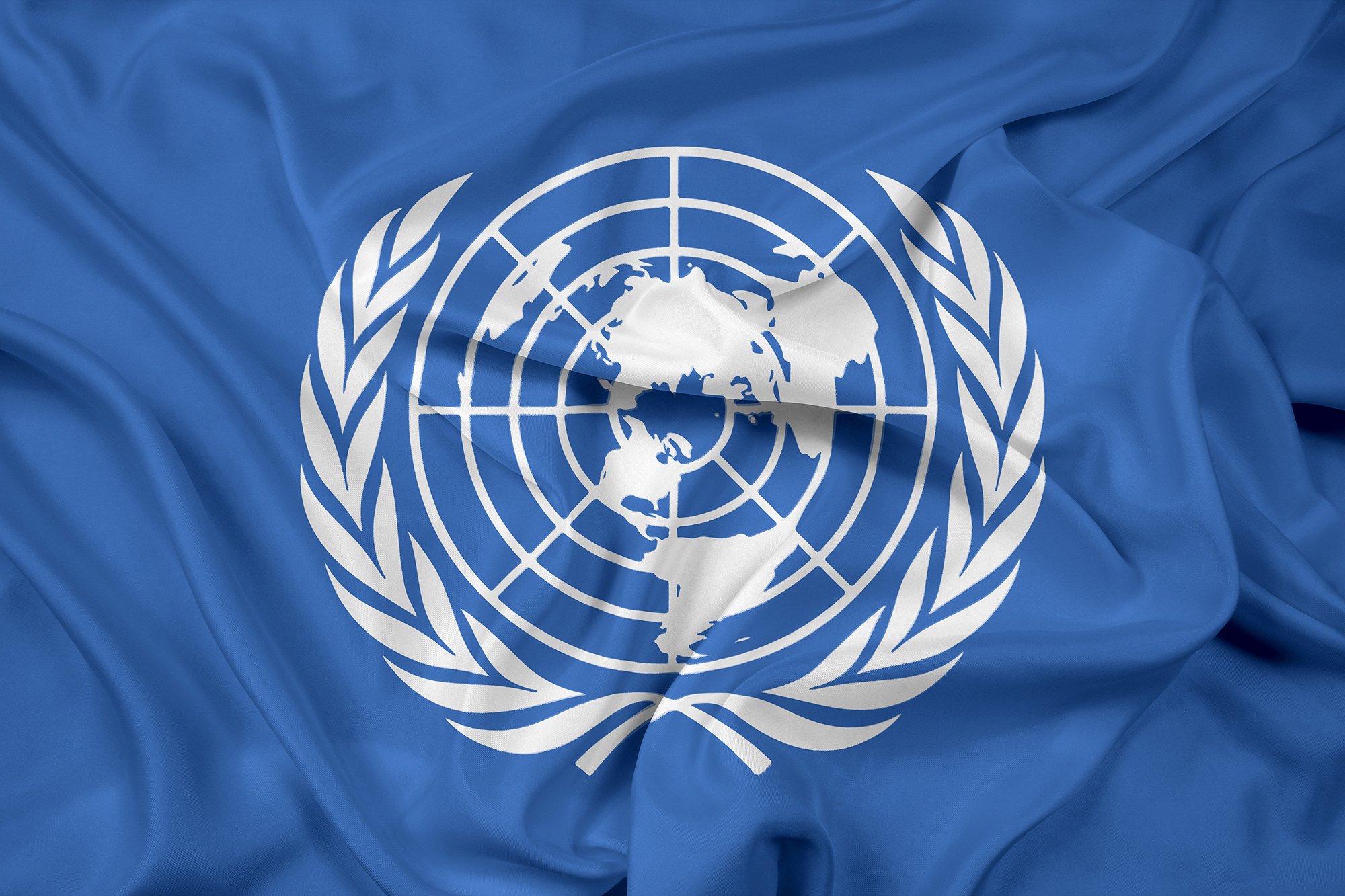 Всемирные организации оон. Герб ООН. Флаг ООН. От н. ООН картинки.