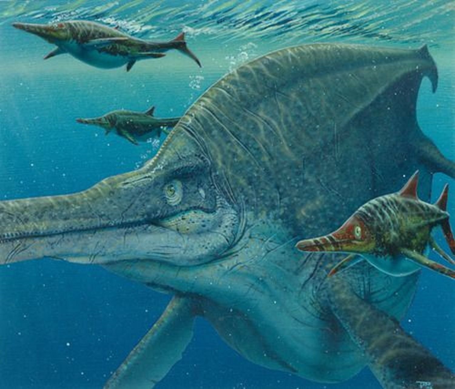 Ихтиозавр первичноводное. Ихтиозавр Шонизавр. Морские динозавры Ихтиозавр. Ихтиозавр мезозой. Шонизавр динозавр.