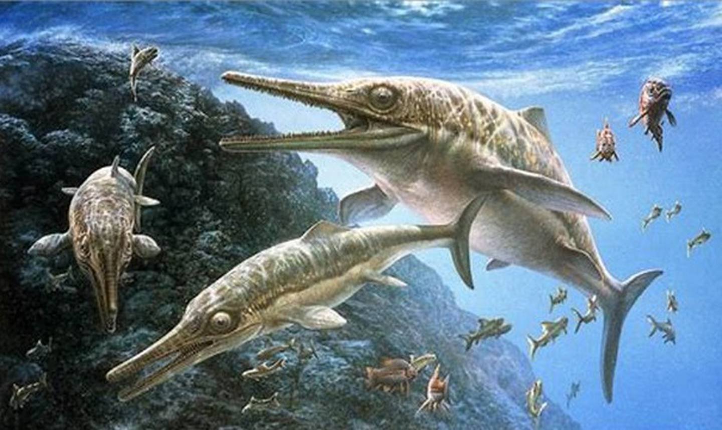 Морской ихтиозавр. Зденек Буриан Ихтиозавр. Мезозойская Эра ихтиозавры. Ихтиозавры триаса. Ихтиозавры Триасового периода.