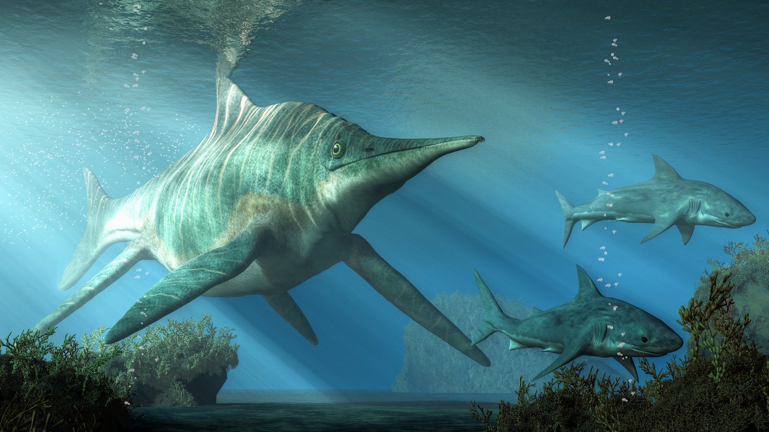 Акула ихтиозавр. Ихтиозавры Триасового периода. Шонизавр. Динозавры в тихом океане. Ихтиозавр фото.
