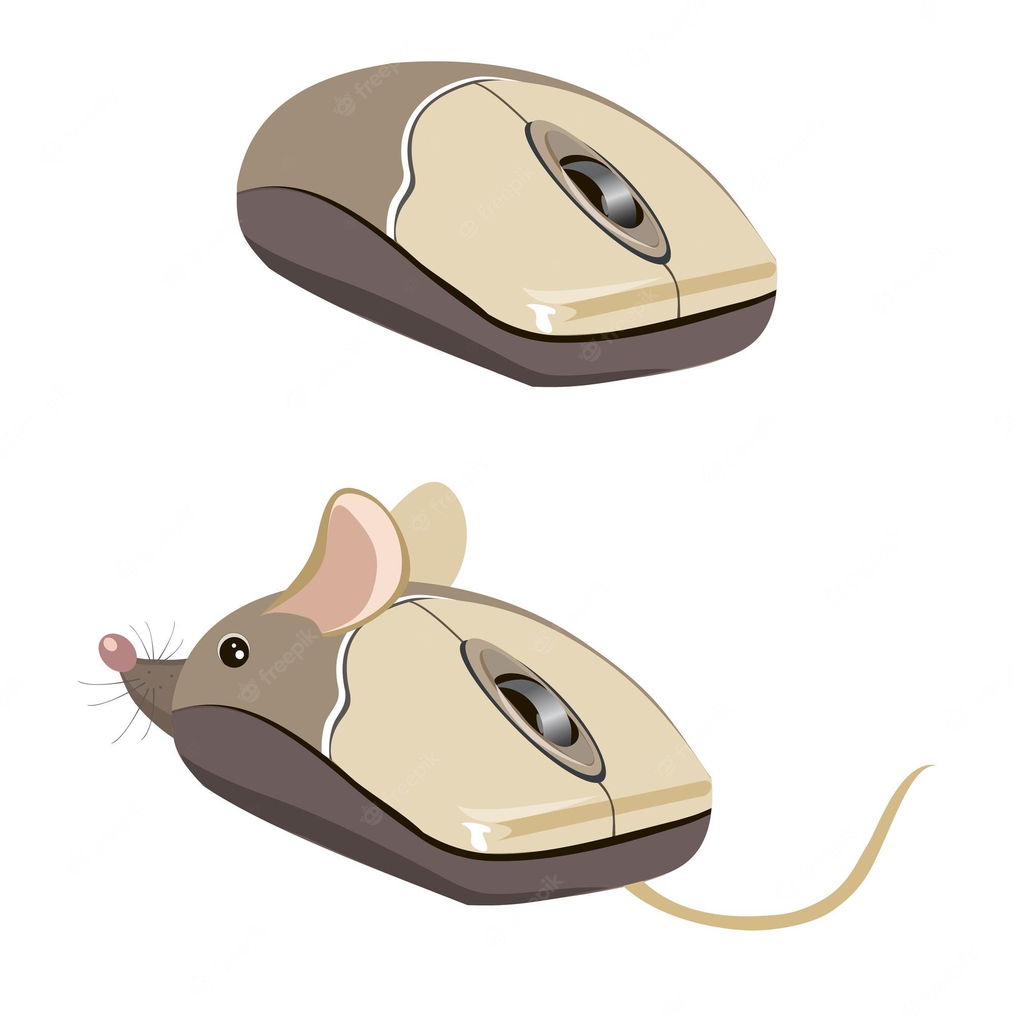 Развитие мышей. Компьютерная мышь рисунок. Детская компьютерная мышь. Мышка компьютерная рисунок. Изображение компьютерной мыши.