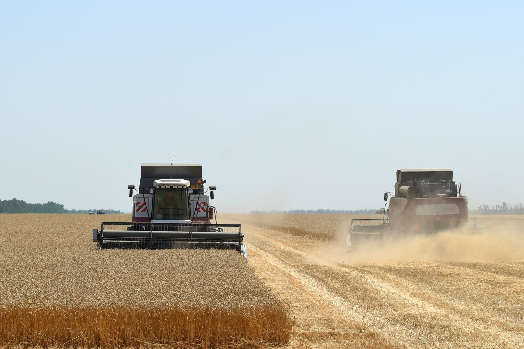 В сентябре был собран рекордный урожай. Сбор зерна. Уборка зерна. Урожай зерновых. Уборка озимой пшеницы.