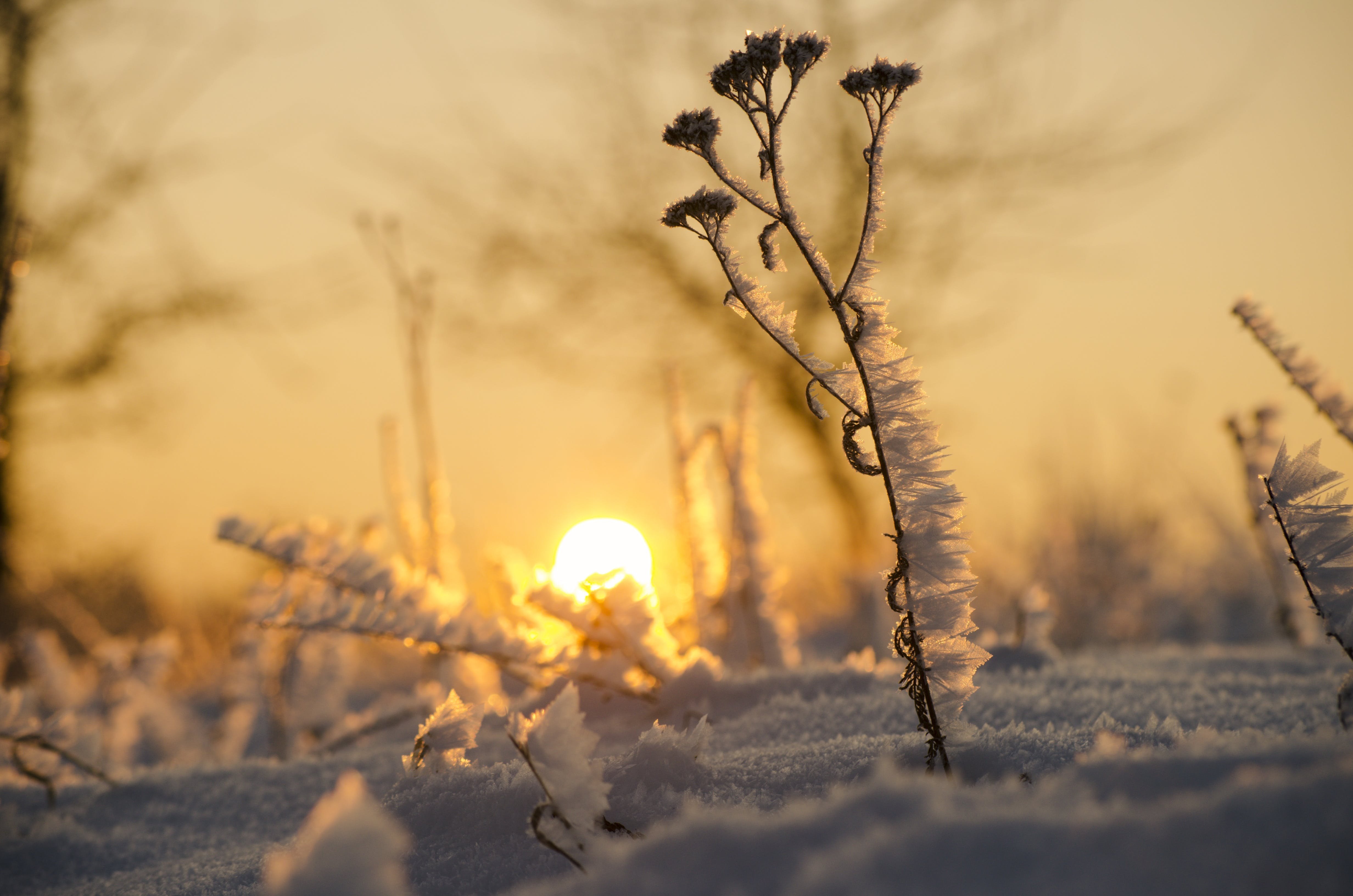 Утро природа февраль. Февраль природа. Зимний рассвет. Морозное утро. Морозное утро Эстетика.