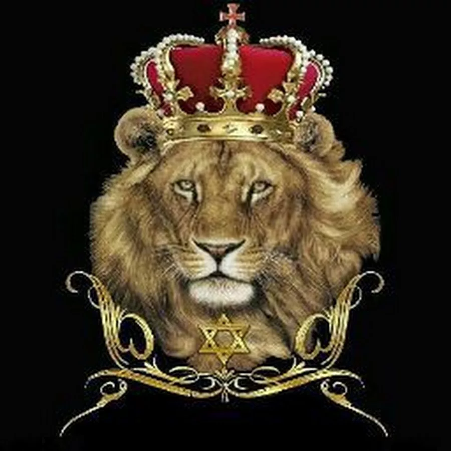 Лев с короной. Морда Льва с короной. Лев с короной на голове. Лев царь.