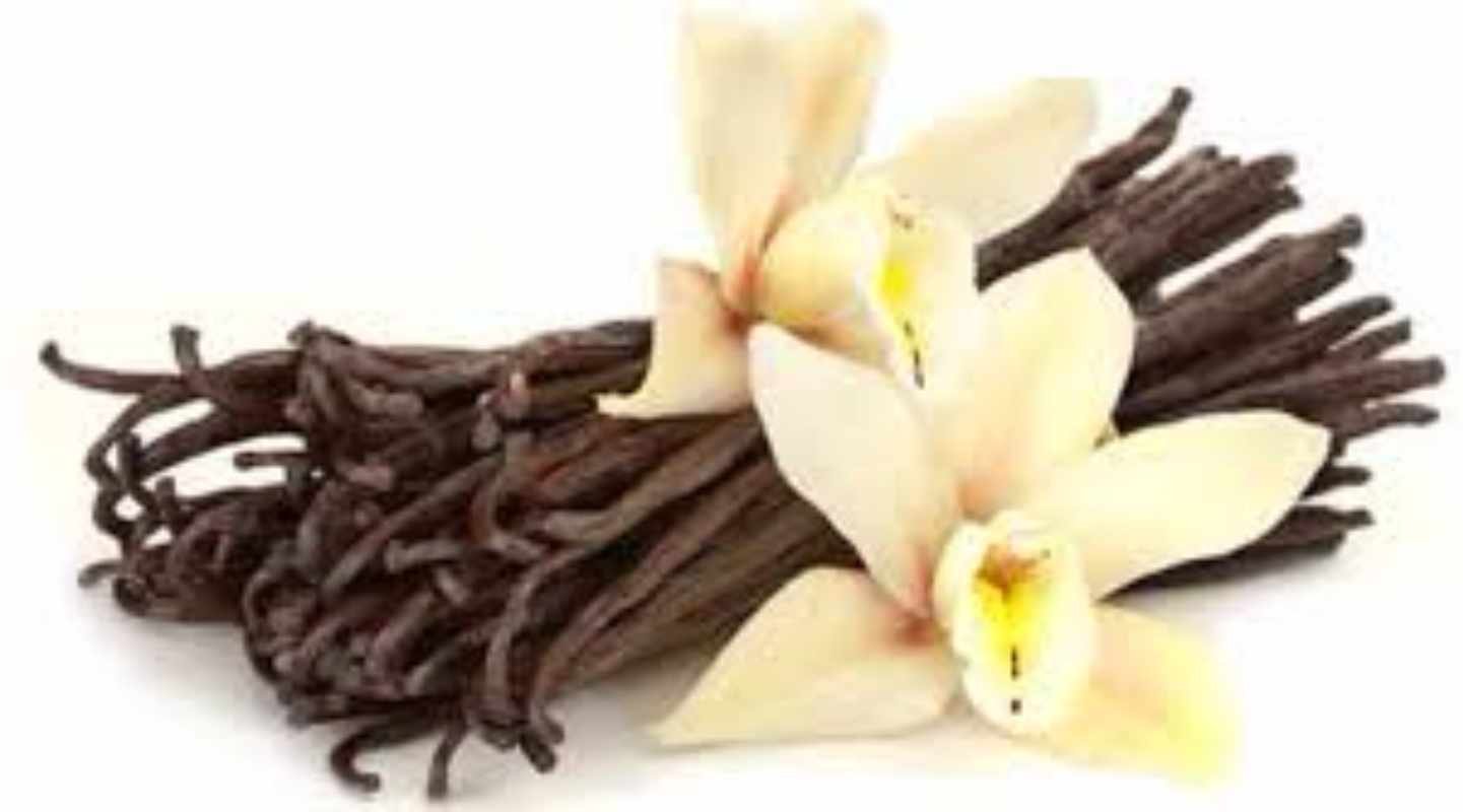 Вкус запах ванили. Мадагаскарская ваниль. Бурбонская ваниль растение. Таитянская ваниль. Буайрлн ваниль.