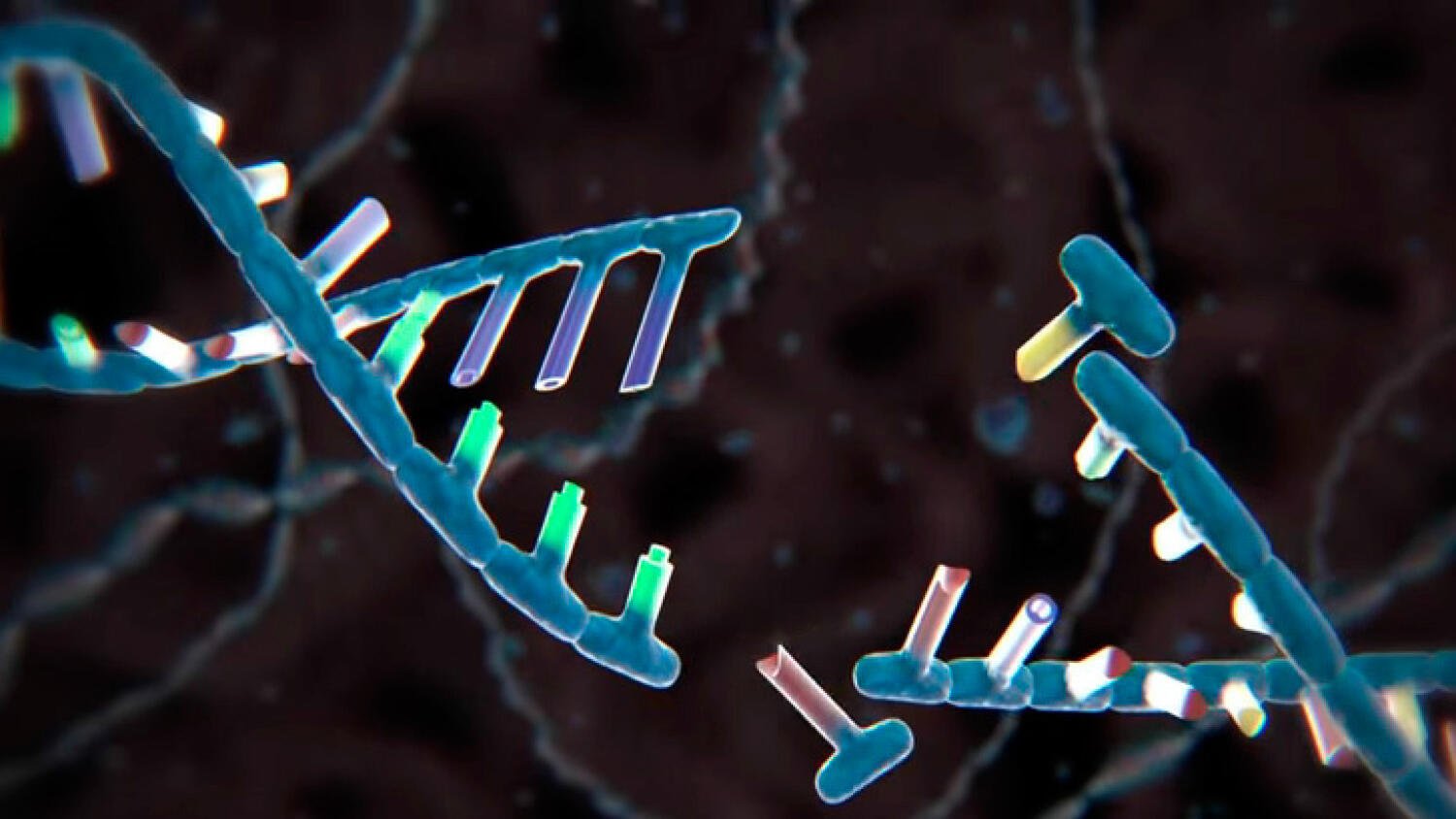 Разрушенное днк. Мутагенез генетика. Мутационная ДНК. Tbx5 ген. ДНК микробной клетки.
