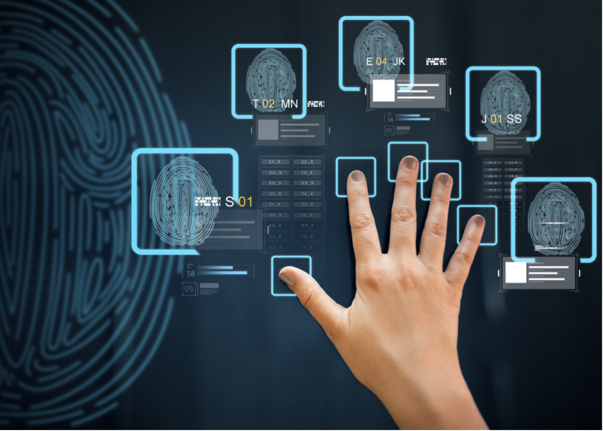 Банк биометрических данных. Сканирование отпечатка пальца. Биометрические технологии. Отпечатки пальцев биометрия. Идентификация по отпечатку пальца.