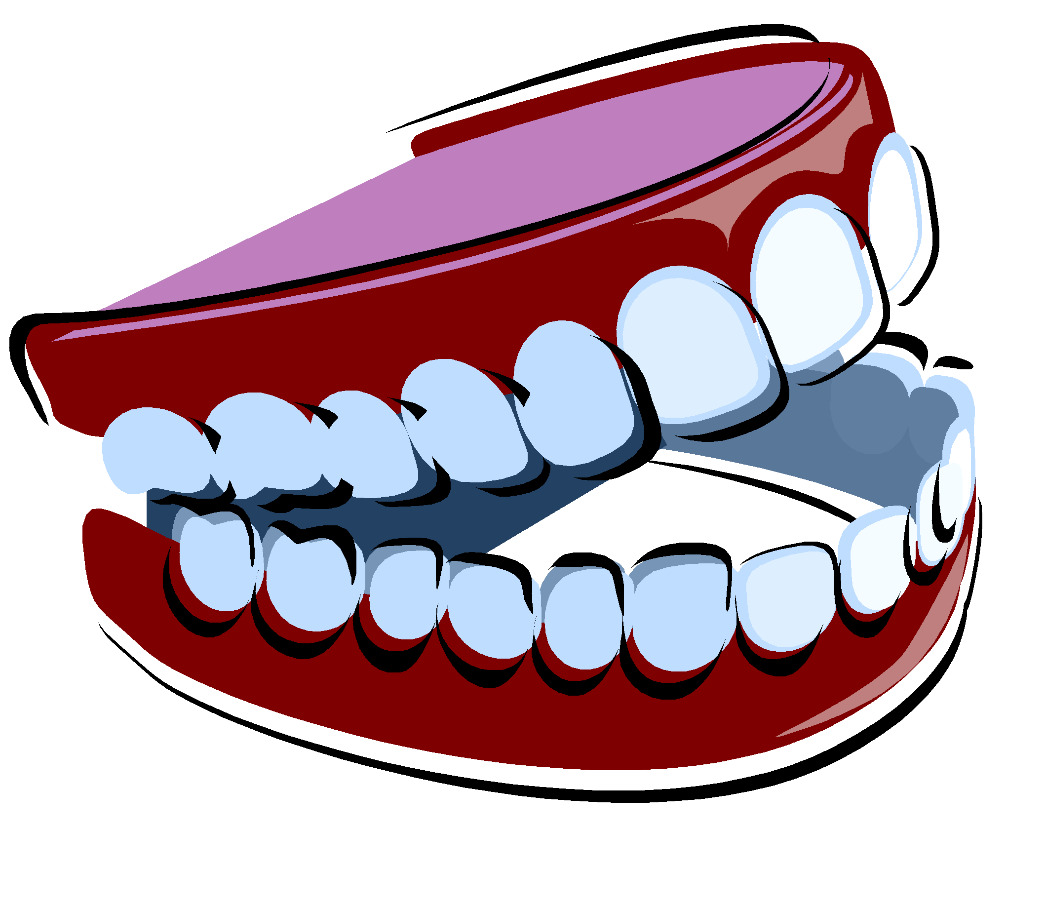 Зубы человека картинки