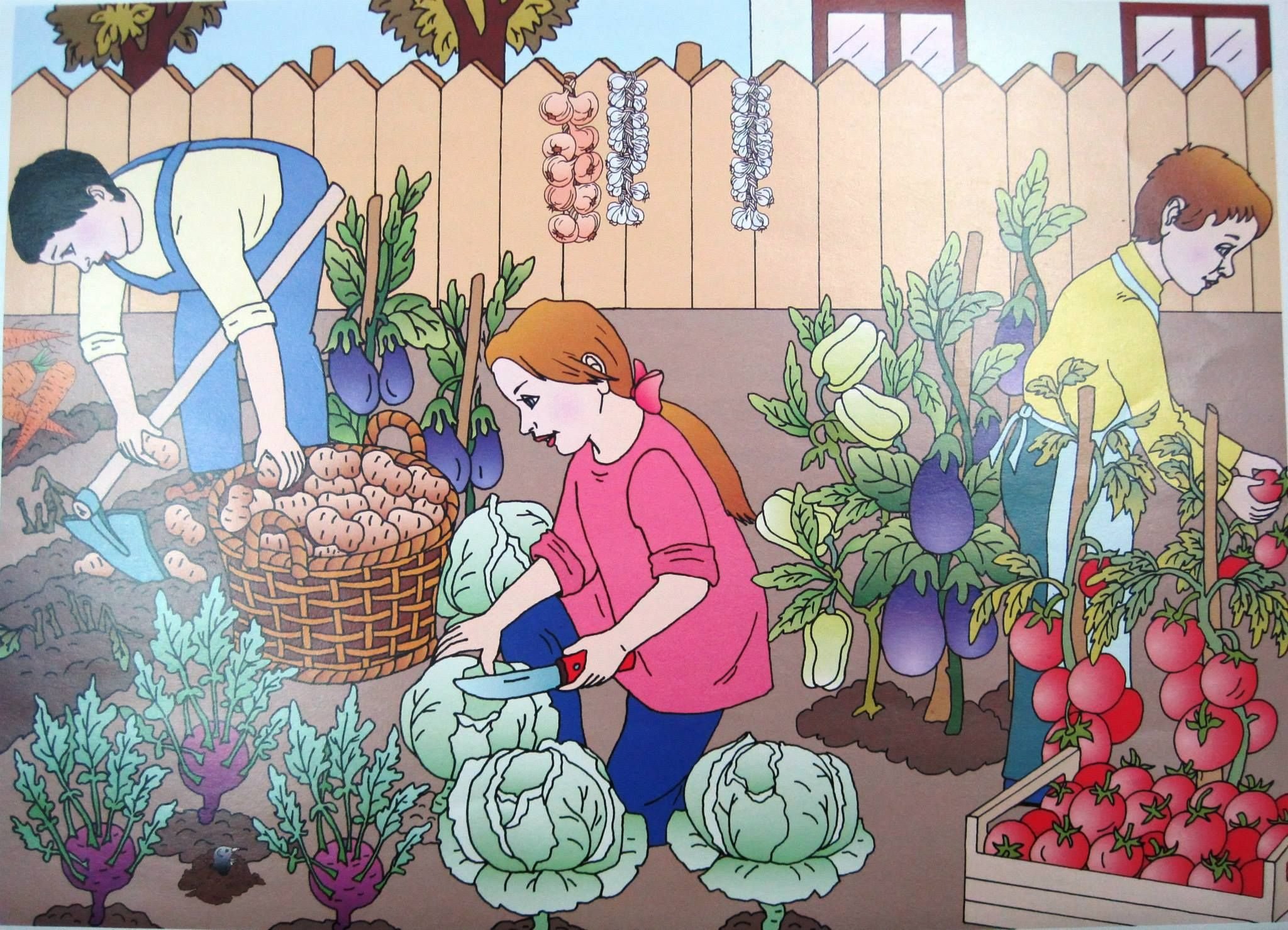 Мать урожая. Сюжетная картина огород. Огород с овощами для детей. Сюжетная картина сбор урожая. Сбор урожая в огороде.
