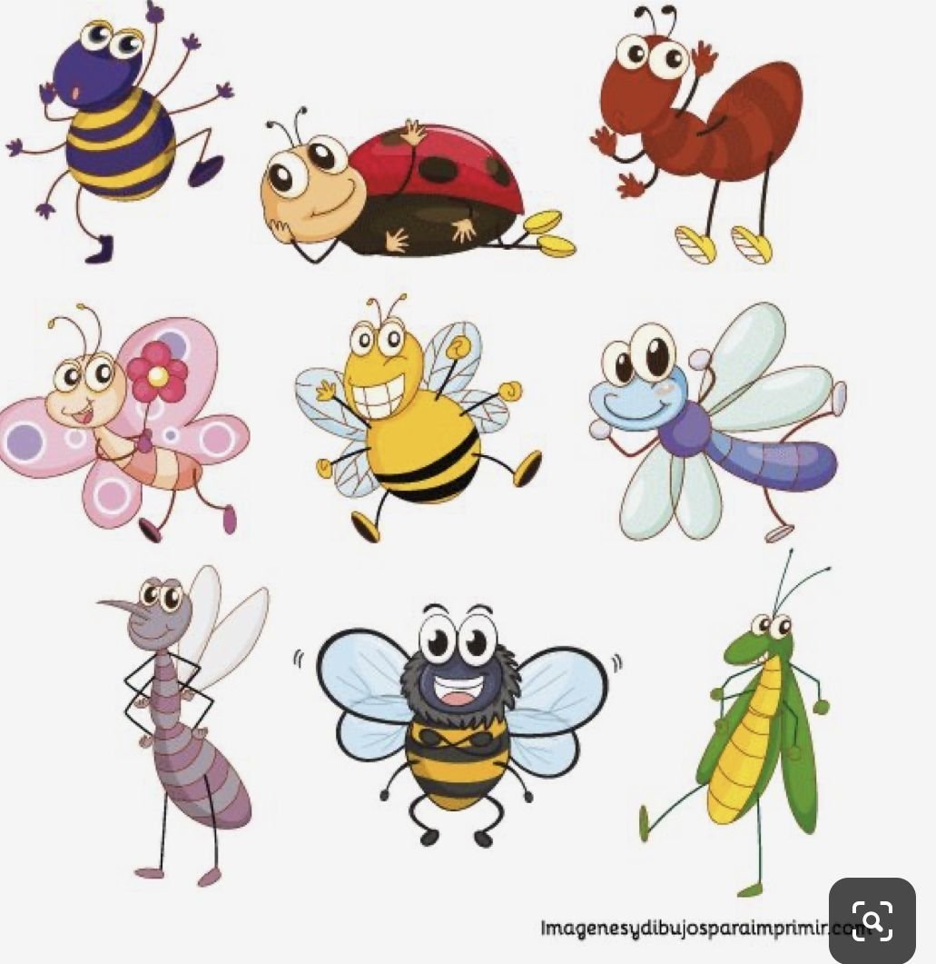Картинки насекомых для детей цветные. Мультяшные насекомые. Насекомые для детей. Насекомые для дошкольников. Насекомые иллюстрации для детей.