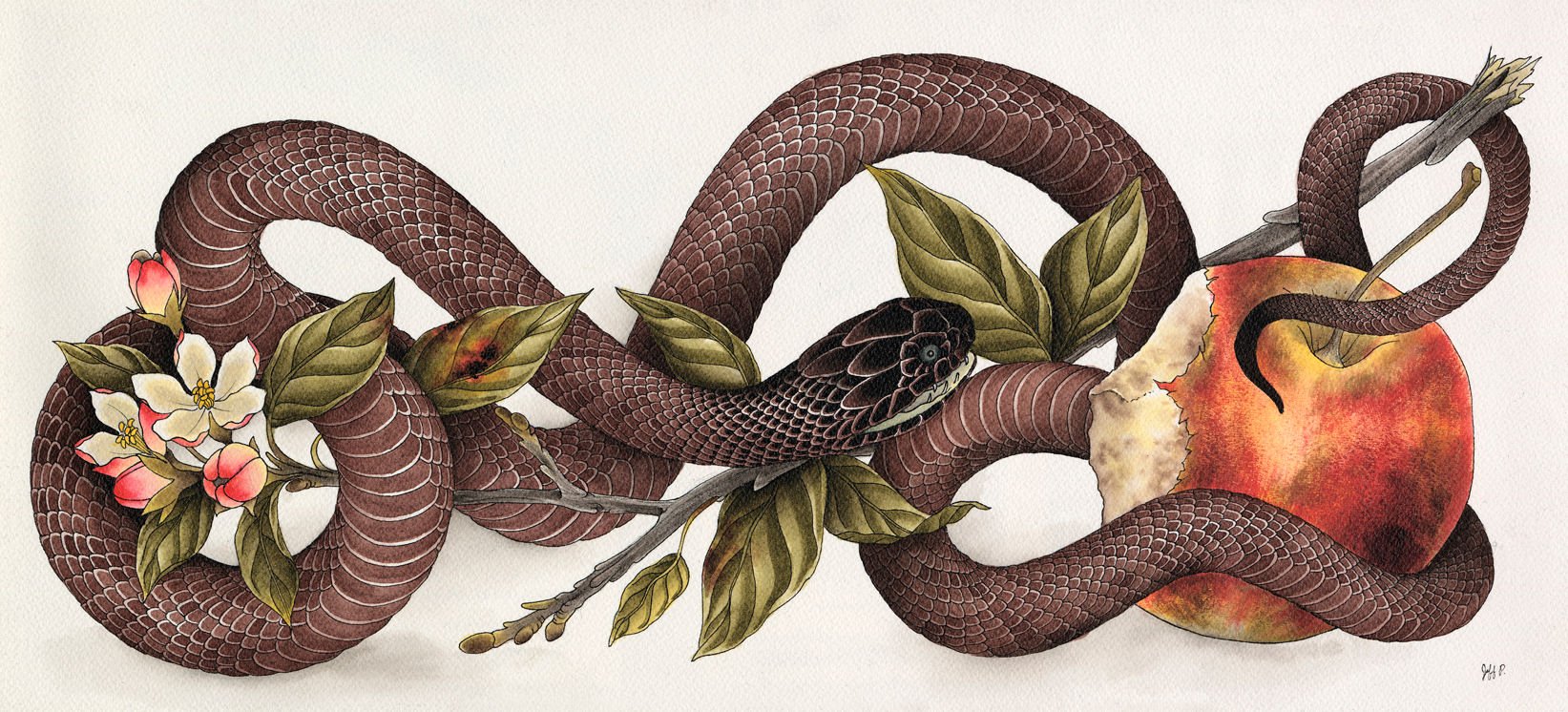 Змея и цветок 2. Змеи арт. Змея обвивает. Змея на ветке арт. Змея в цветах арт.