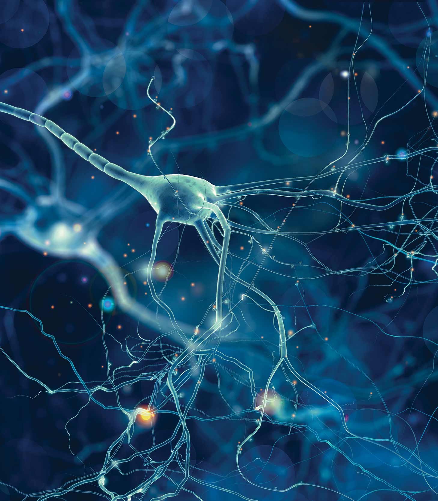 Как создать нейронные связи. Нейронные связи. Нейронная сеть. Клетки мозга. Нейроны головного мозга.
