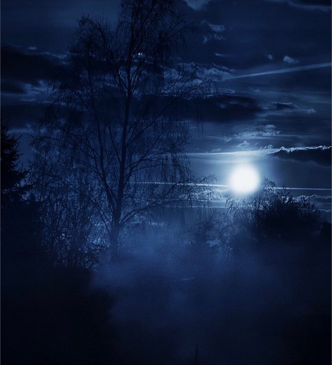 Ночные ли. Природа ночью. Лунная ночь. Красивая ночь. Темная ночь.