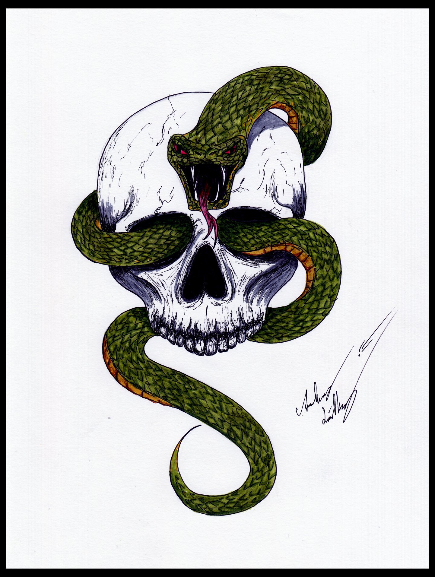 Аватарка змей. Череп со змеей. Змеи арт. Змея рисунок. Тату череп со змеями.