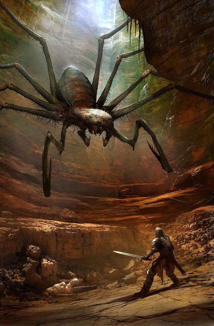 Картинки самых больших пауков - 78 фото