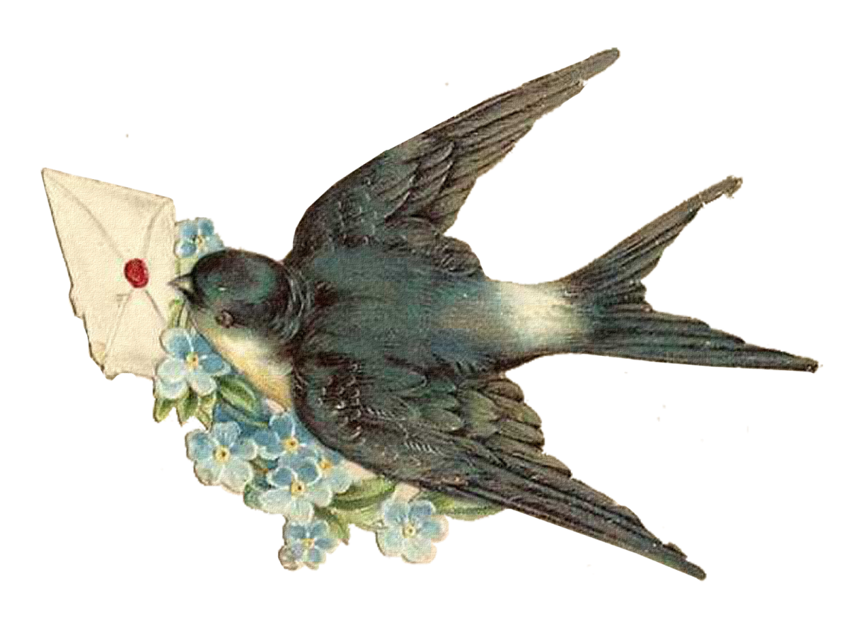Изящную птицу ласточку называют символом весны. Ласточка. Ласточка клипарт. Птичка на прозрачном фоне. Ласточка на прозрачном фоне.