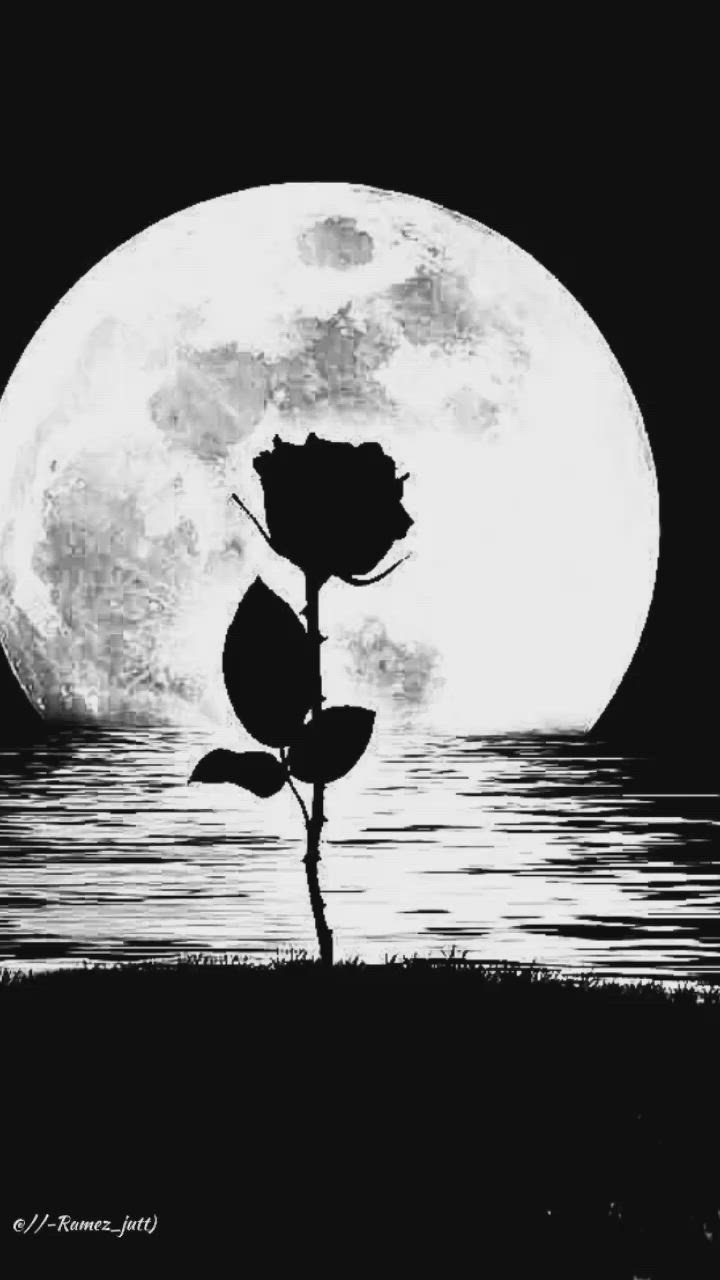 Одинокая луна розовая. Луна одиночество. Черно белые картинки. Черные рисунки. Картины в черно белом цвете.