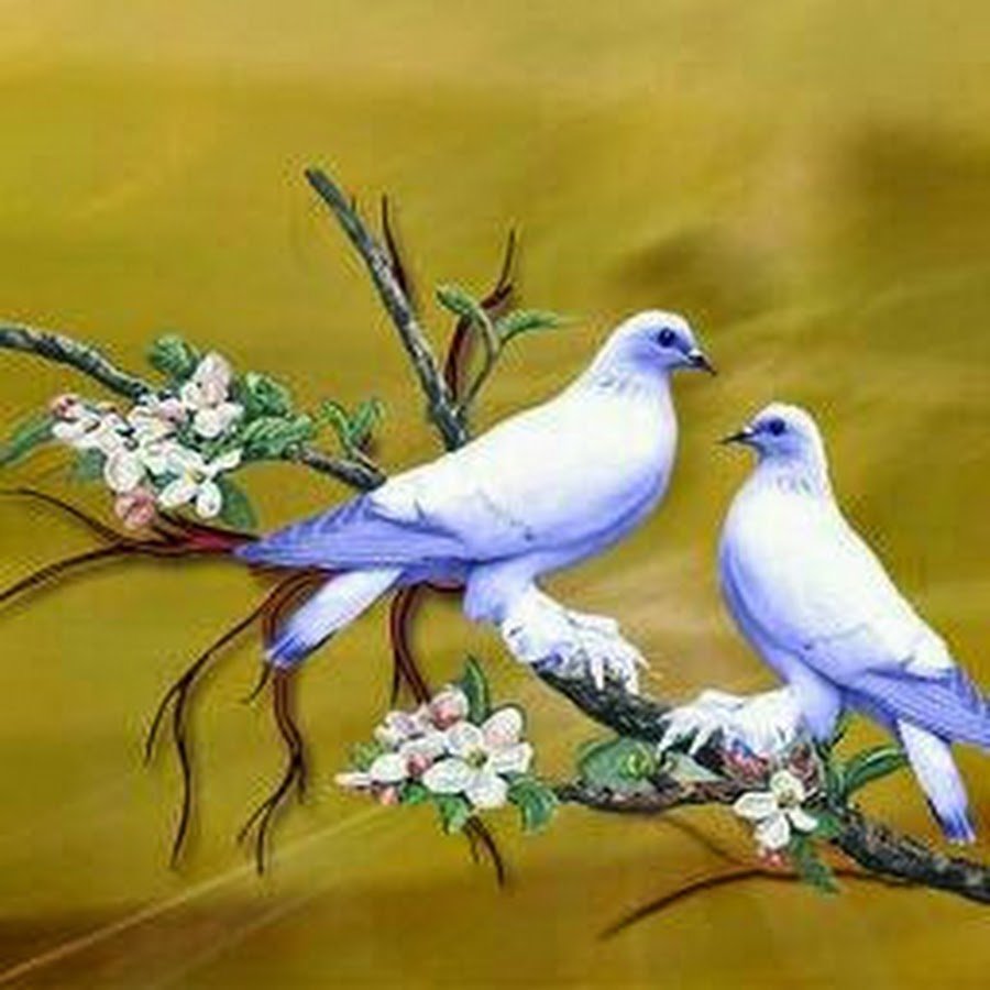 Будьте как змеи и голуби. Красивые голуби. Пейзаж с голубями. Белый голубь живопись. Живопись белая Голубка.