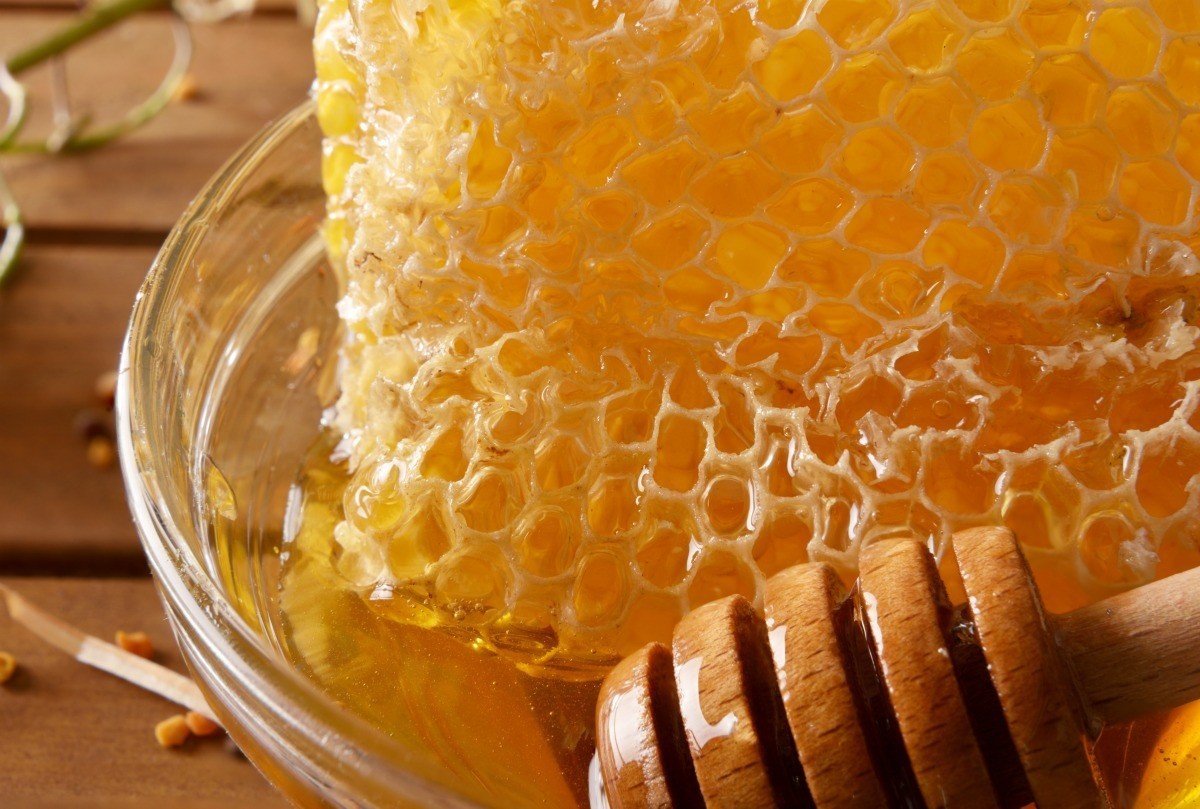 Рука в сотах. Мёд в сотах. Соты меда. Мед в сотах стекает. Мёд макро.