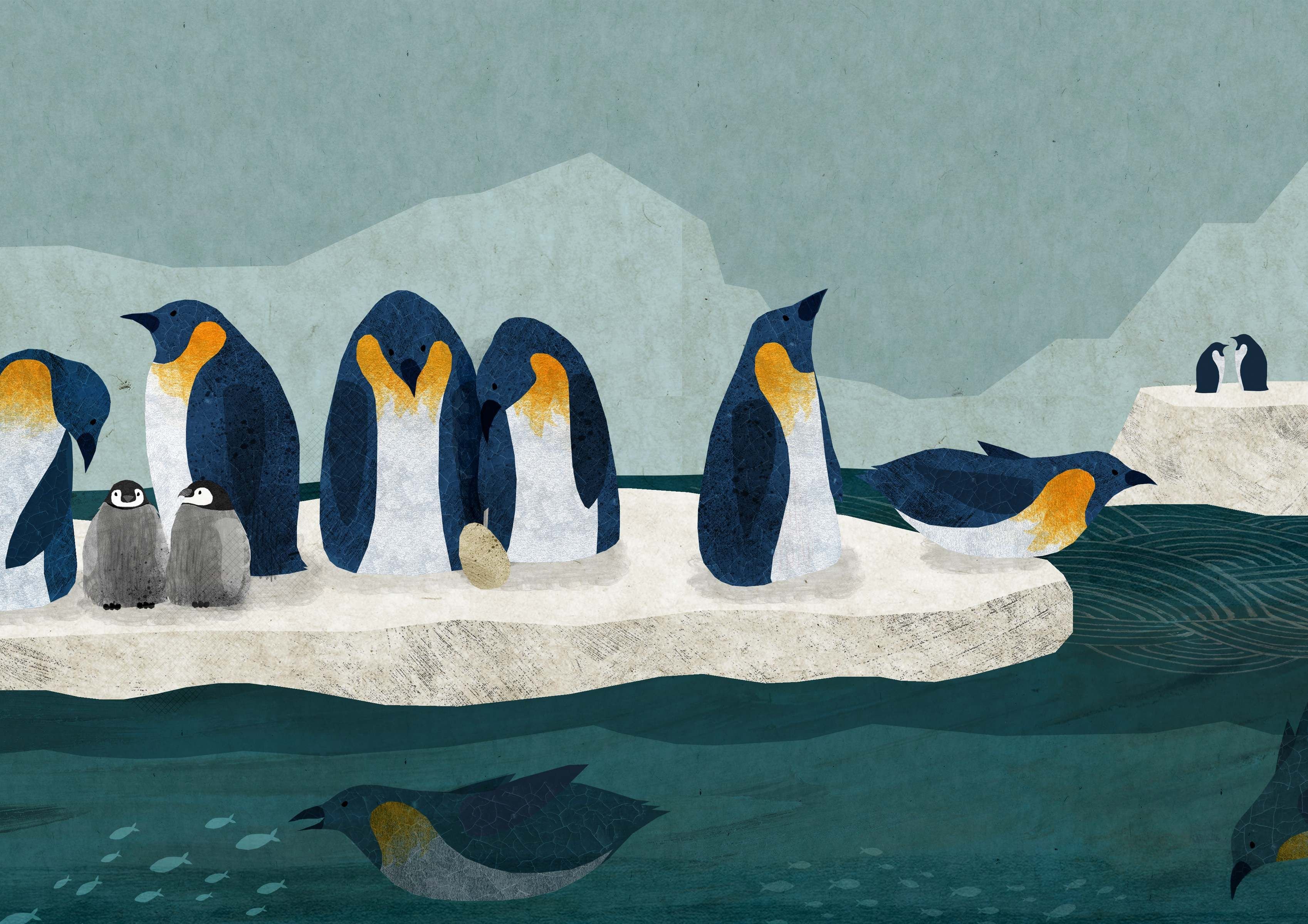 Чтение про пингвинов в старшей группе. Пингвиний пляж Снегирев. Пингвины Снегирев Пингвиний пляж. Снегирев про пингвинов иллюстрации. Пингвины живопись.