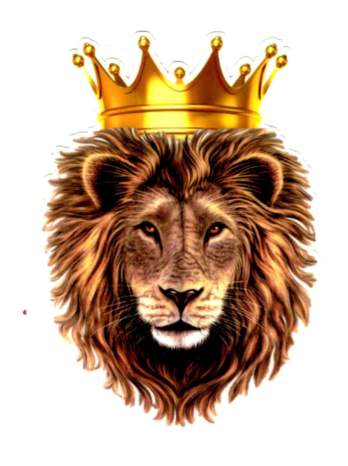 Лев с короной картинка. Лев с короной. Картинка Лев с короной. Красивый Лев с короной. Лев с короной арт.