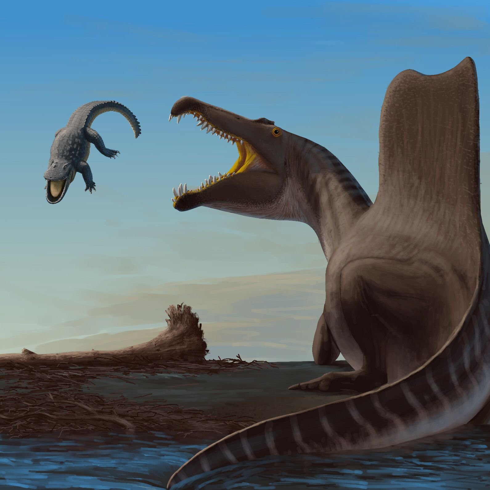 Морские динозавры 3d путешествие в доисторический. Spinosaurus aegyptiacus. Спинозавр aegyptiacus. Spinosaurus maroccanus. Spinosaurus aegyptiacus 2022.