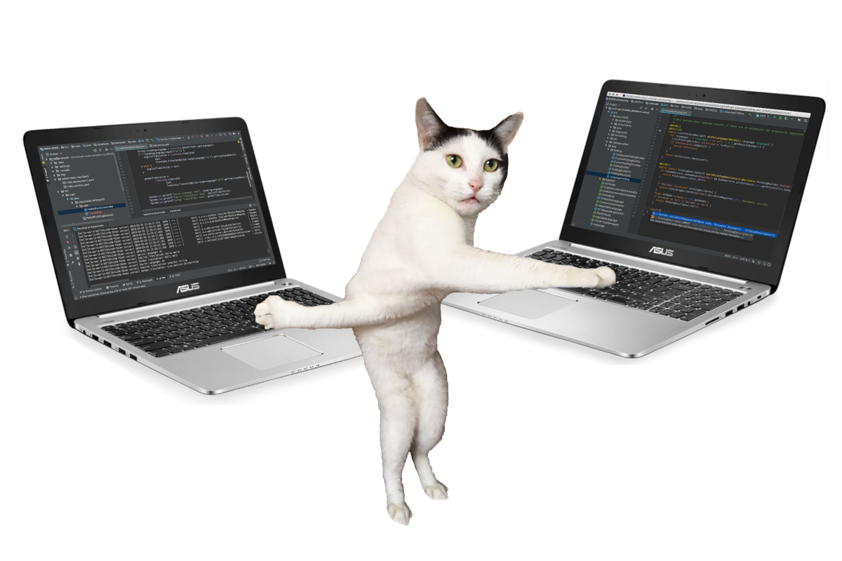 Кот программист. Коты программисты. Кот системный администратор. Котик за компьютером.