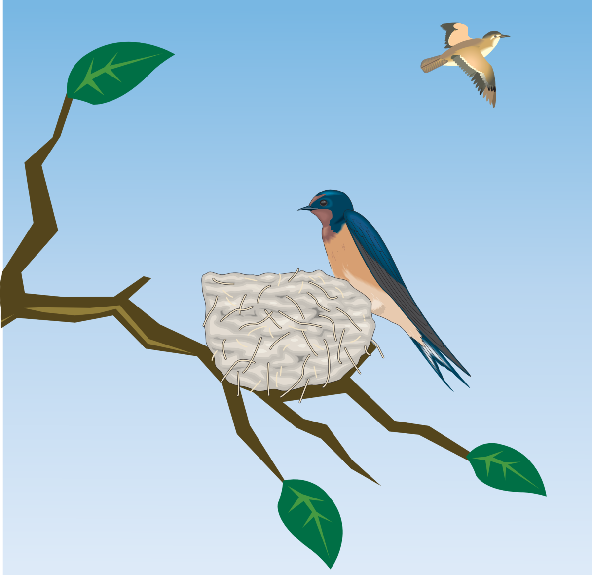 Расселение птиц. Изображение птиц. Птица иллюстрация. Птицы для детей. Прилетели птички для детей.