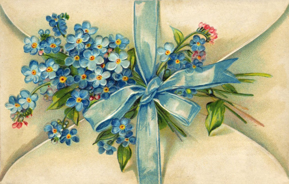 Цветы в конверте картинки