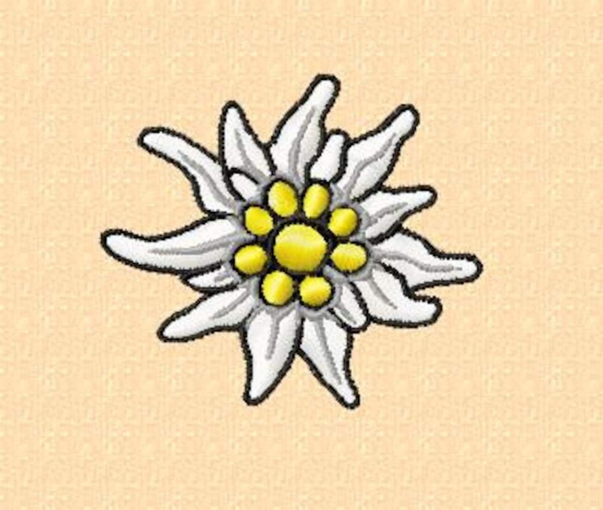Цветы картинки эдельвейс