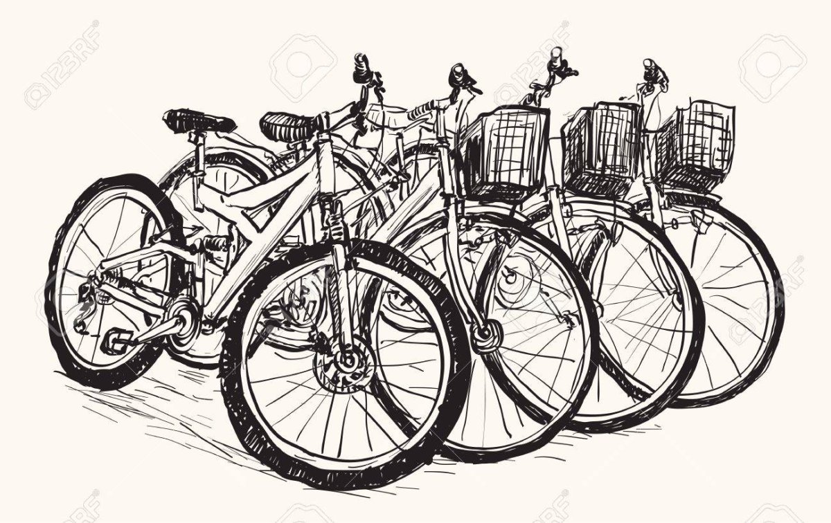 Рисунок прокат. Велосипед скетч. Велосипеды в ряд. Аренды велосипедов набросок. Прокатный велосипед на белом фоне.
