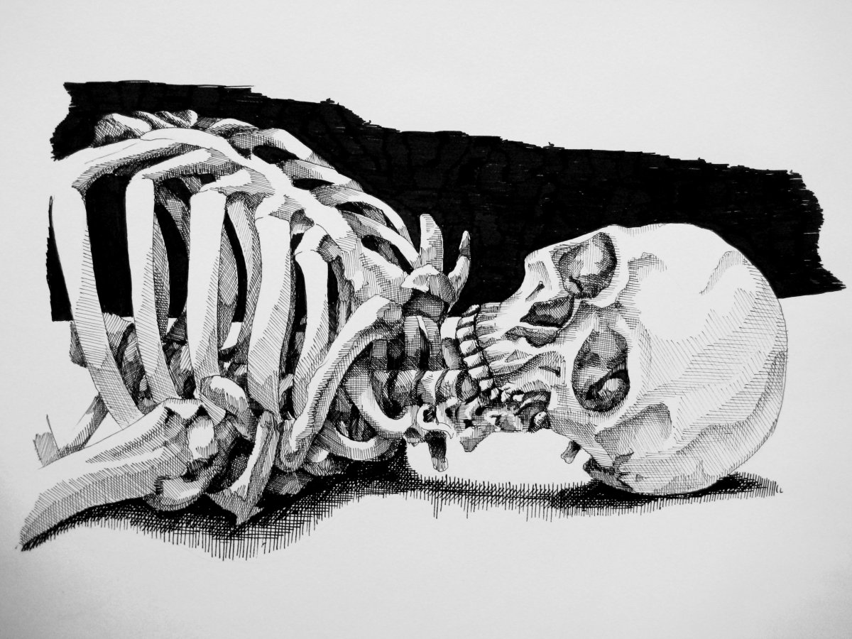 Мешок скелета. Скелет. Скелет рисунок. Скелеты любовь.