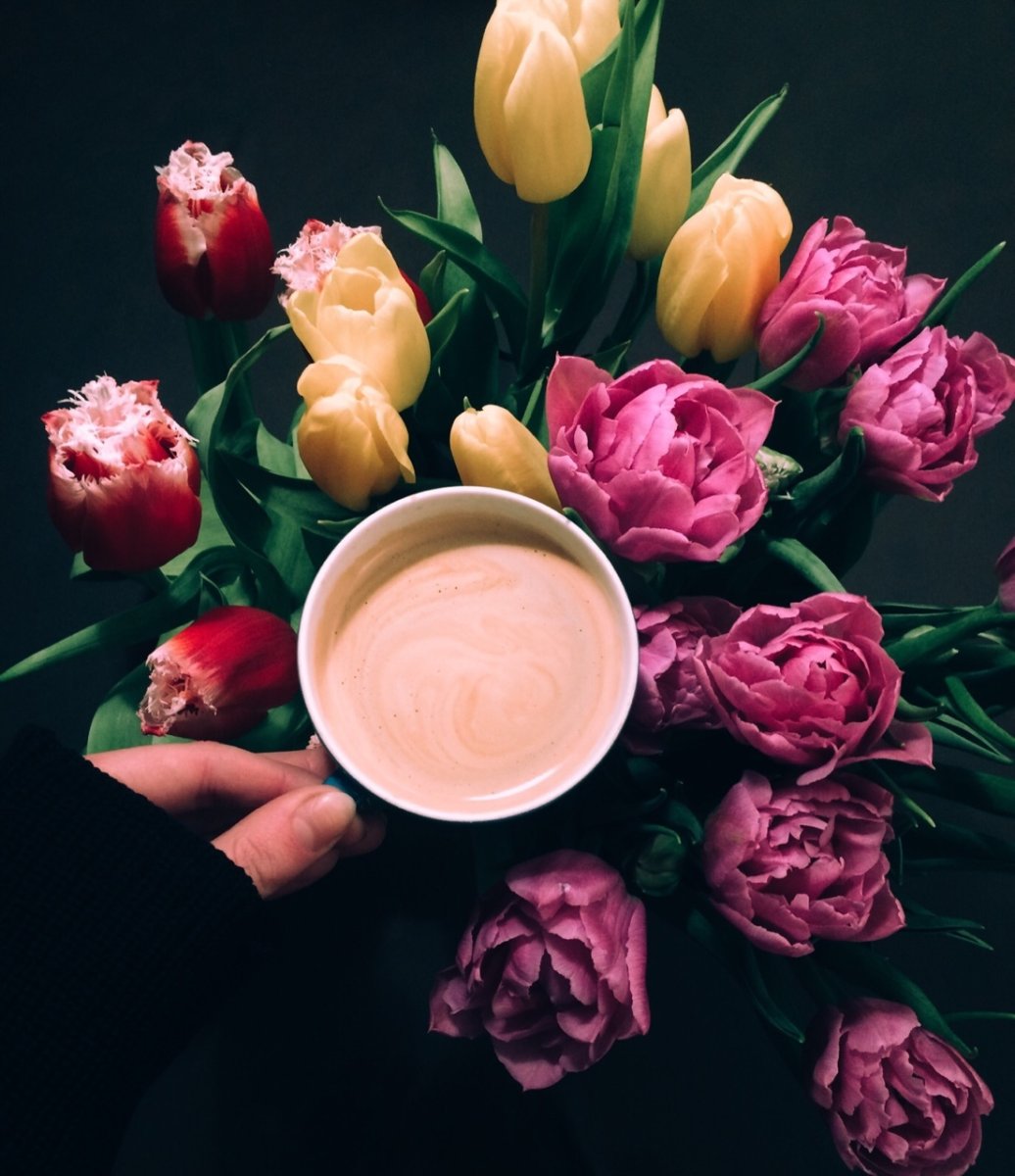 Кофе и тюльпаны картинки. Стильные тюльпаны с кофе. Букет тюльпанов и кофе. Кофе с красивыми тюльпанами. Пионы и кофе.