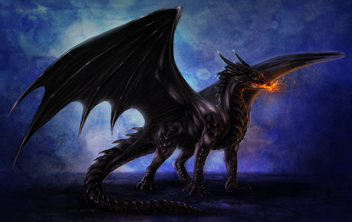 Какие там драконы. Дракон Блэк драгон. Анкалагон черный. Дракон Анкалагон черный. Гебридский чёрный дракон.