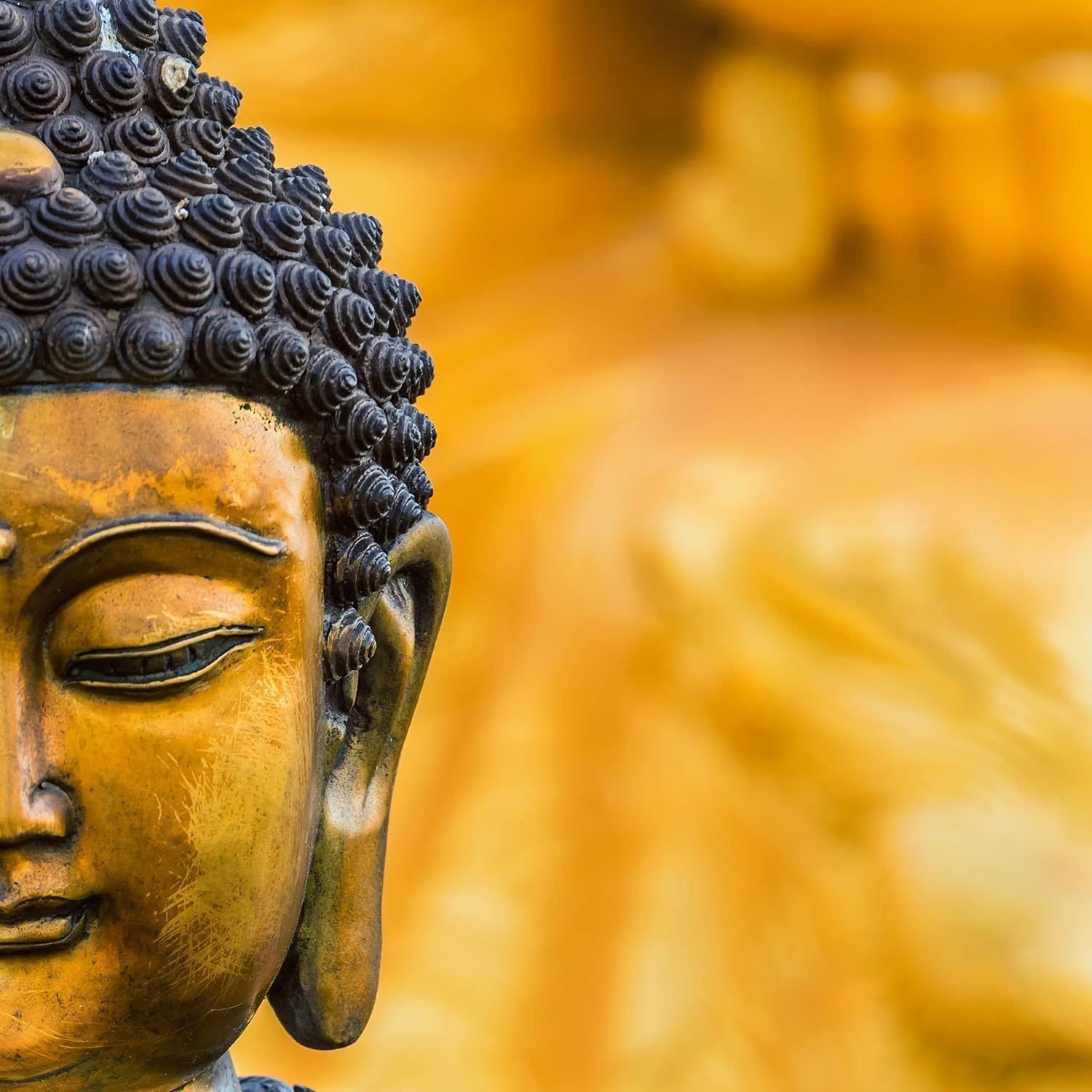 Сиддхартха Гаутама Будда. Уханьский Будда. Монархи Будды. Будда Гаутама Лотос.