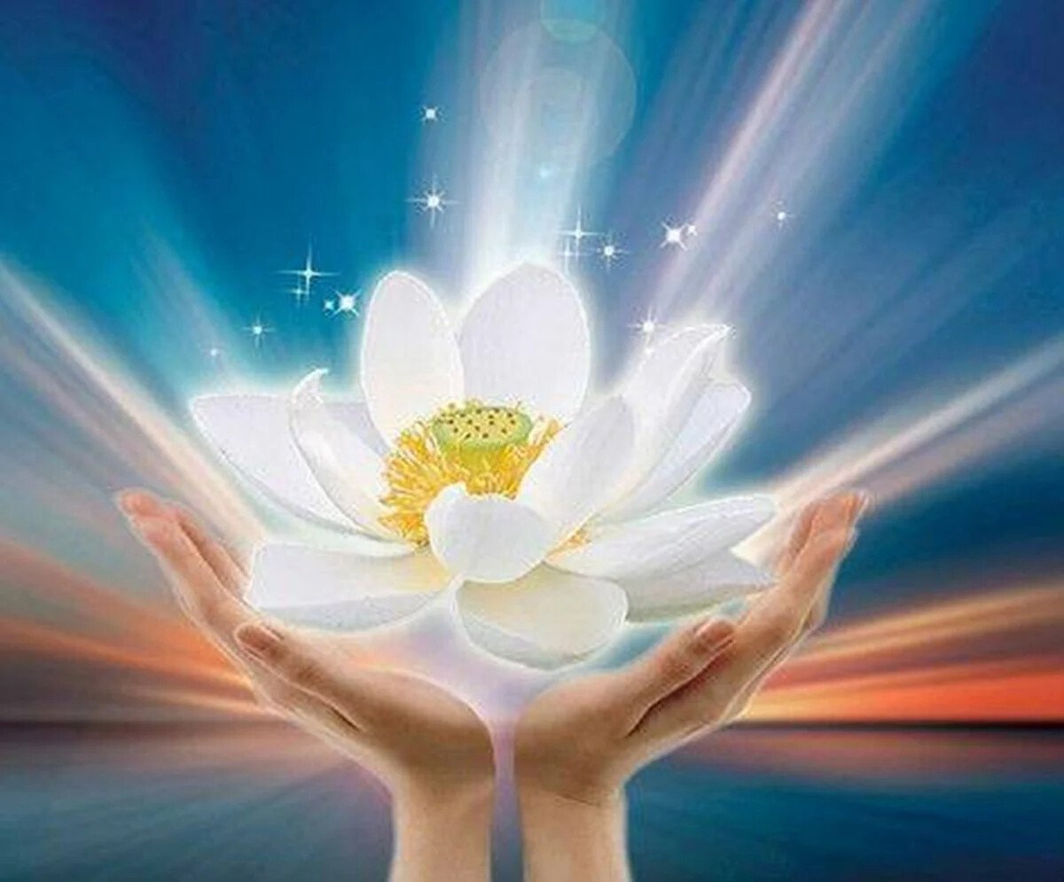 Цветок лотоса медитация АЛЛАТРА. Радость души. Цветок радости и счастья. Гармония и радость.