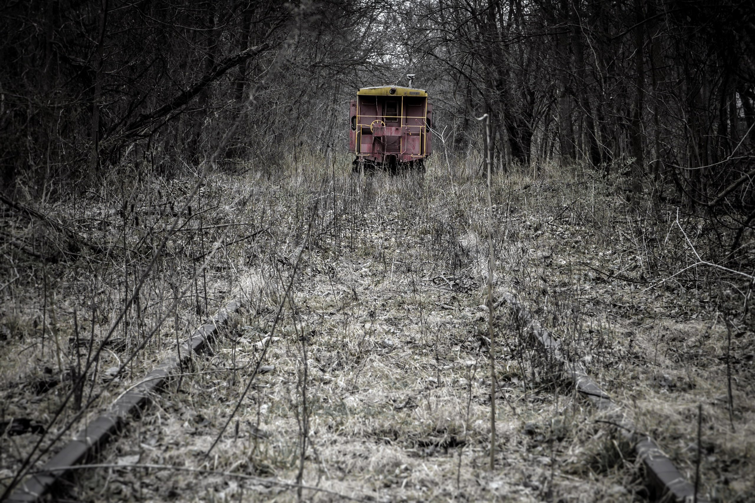 Это забытое старое серое. Заброшенная железная дорога. Заброшенные поезда. Заброшенная дорога в лесу. Заброшенные Лесные дороги.