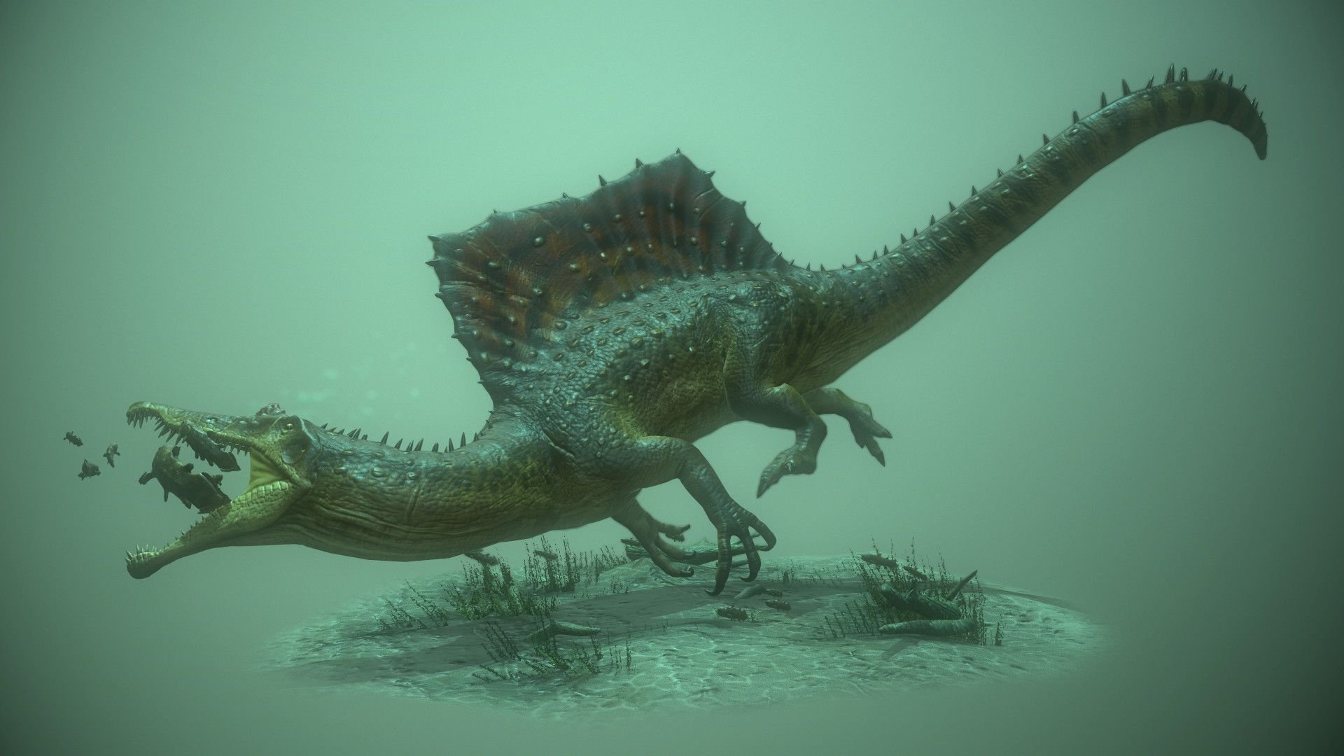 Динозавр жил в воде. Спинозавр aegyptiacus. Spinosaurus maroccanus. Теропод Спинозавр. Полуводный Спинозавр.