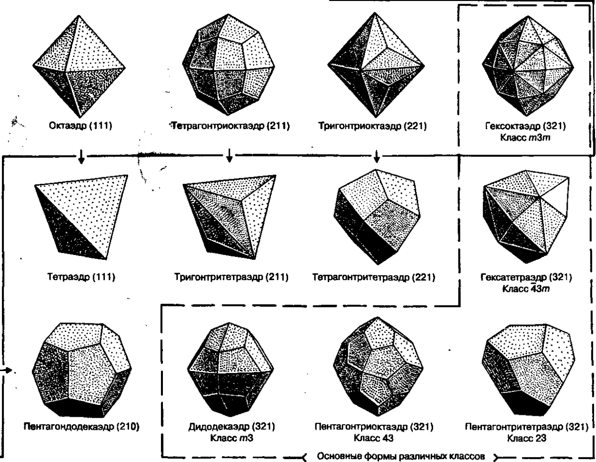 Форма октаэдра. Формы кристаллов кубической сингонии. Тетрагон тритетраэдр. Простые формы кристаллов кубической сингонии. Минералы гексагональной сингонии.