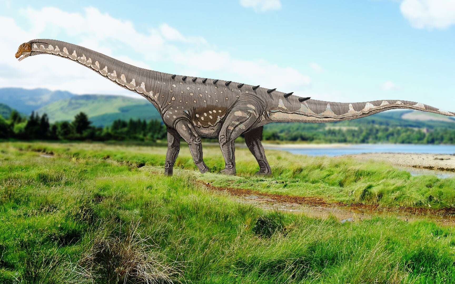 Где большой динозавр. Титанозавр зауропод. Титанозавр Сейсмозавр. Динозавры травоядные титанозавр. Динозавр зауропод тенгризавр.