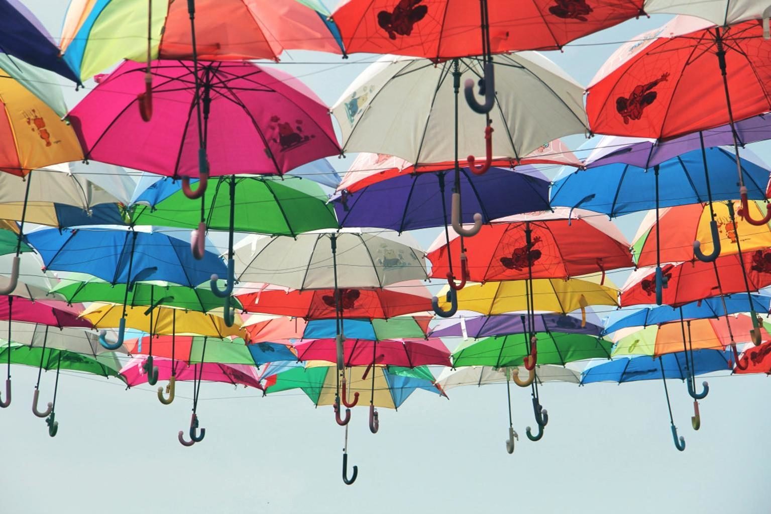 Поющие зонтики. Разноцветные зонтики. Разноцветный зонт. Веселый зонтик. Много зонтов.