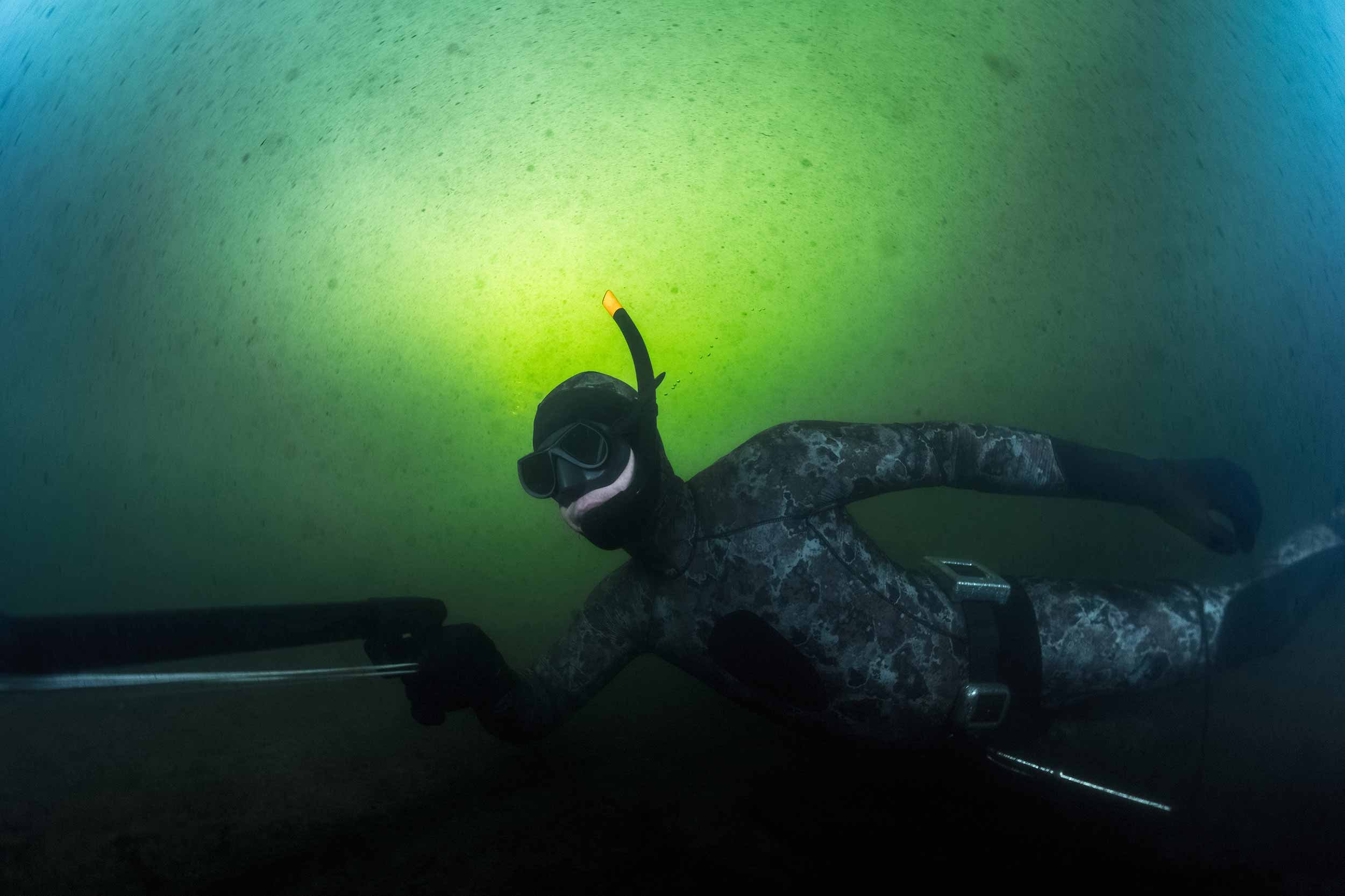 Пенсия для морского дьявола 2 полностью. Подводный охотник. Подводная охота девушки. Подводная охота мутная вода. Старый подводный охотник.