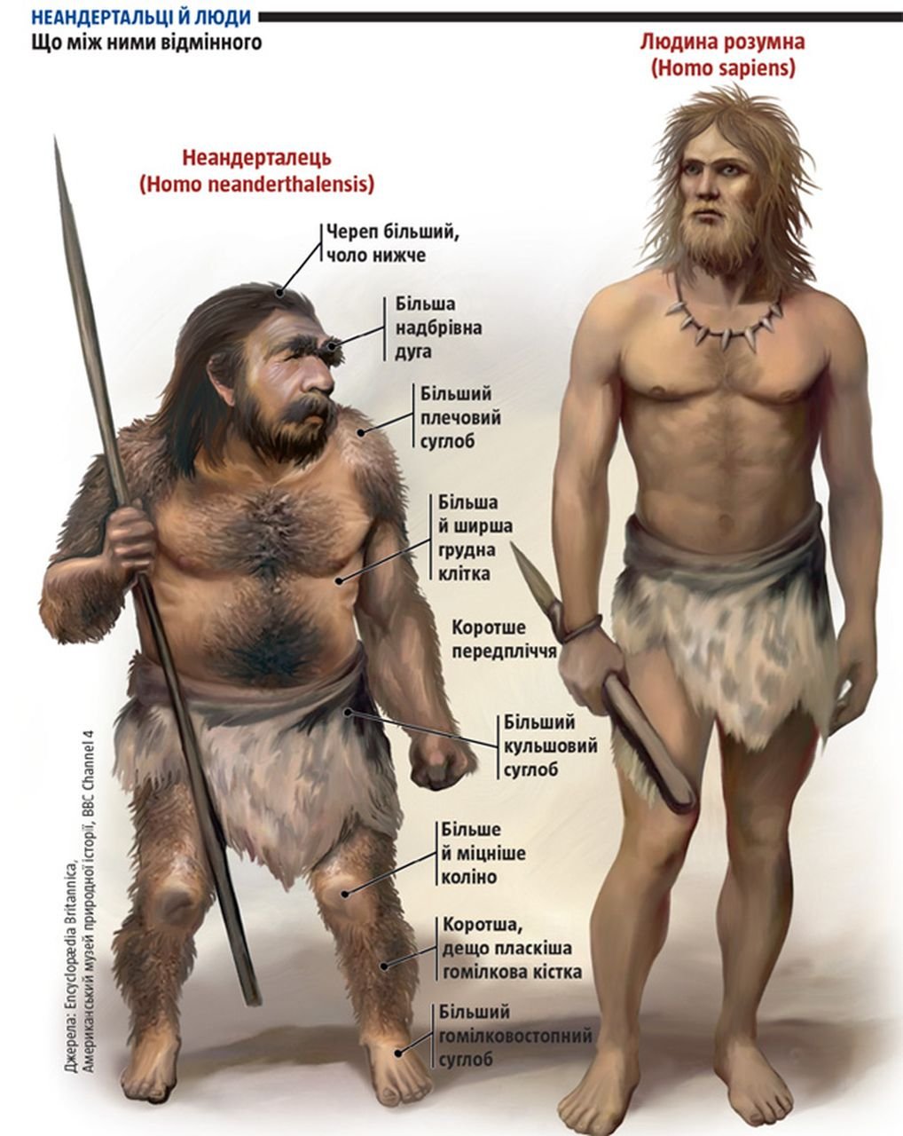 Насколько древний. Хомо сапиенс Денисовский человек неандерталец. Кроманьонец ( homo sapiens). Хомо сапиенс неандерталец кроманьонец Денисовец. Человек разумный неандерталец и кроманьонец.