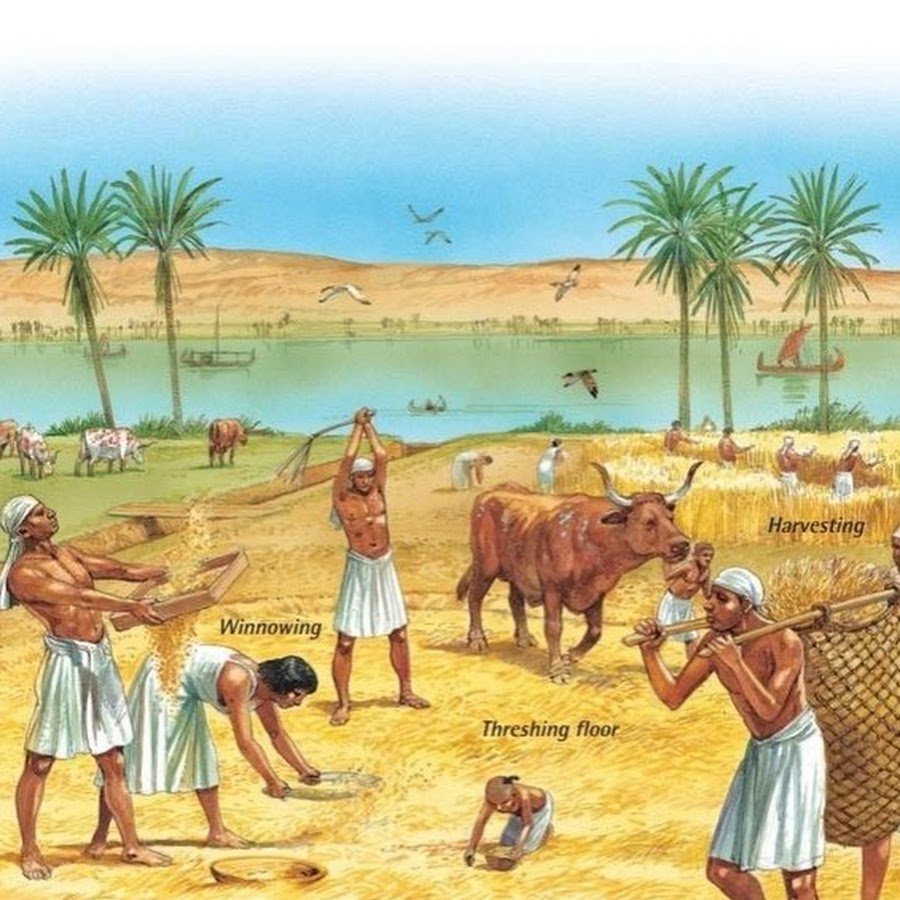 Земледельцы в древнем египте. Хозяйство древнего Египта земледелие.