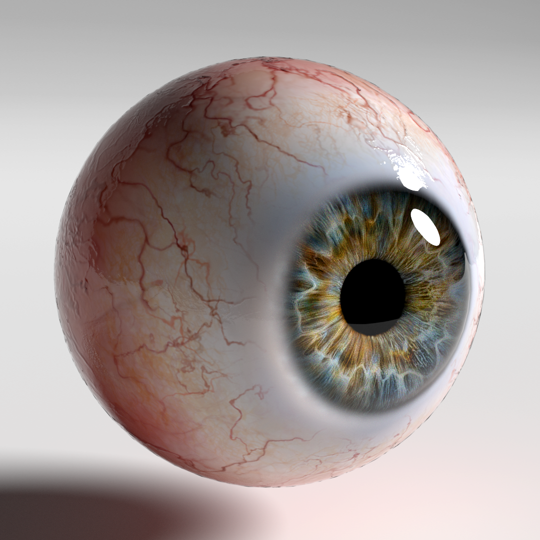 Человеческий глаз. Человеческий глаз анатомия.