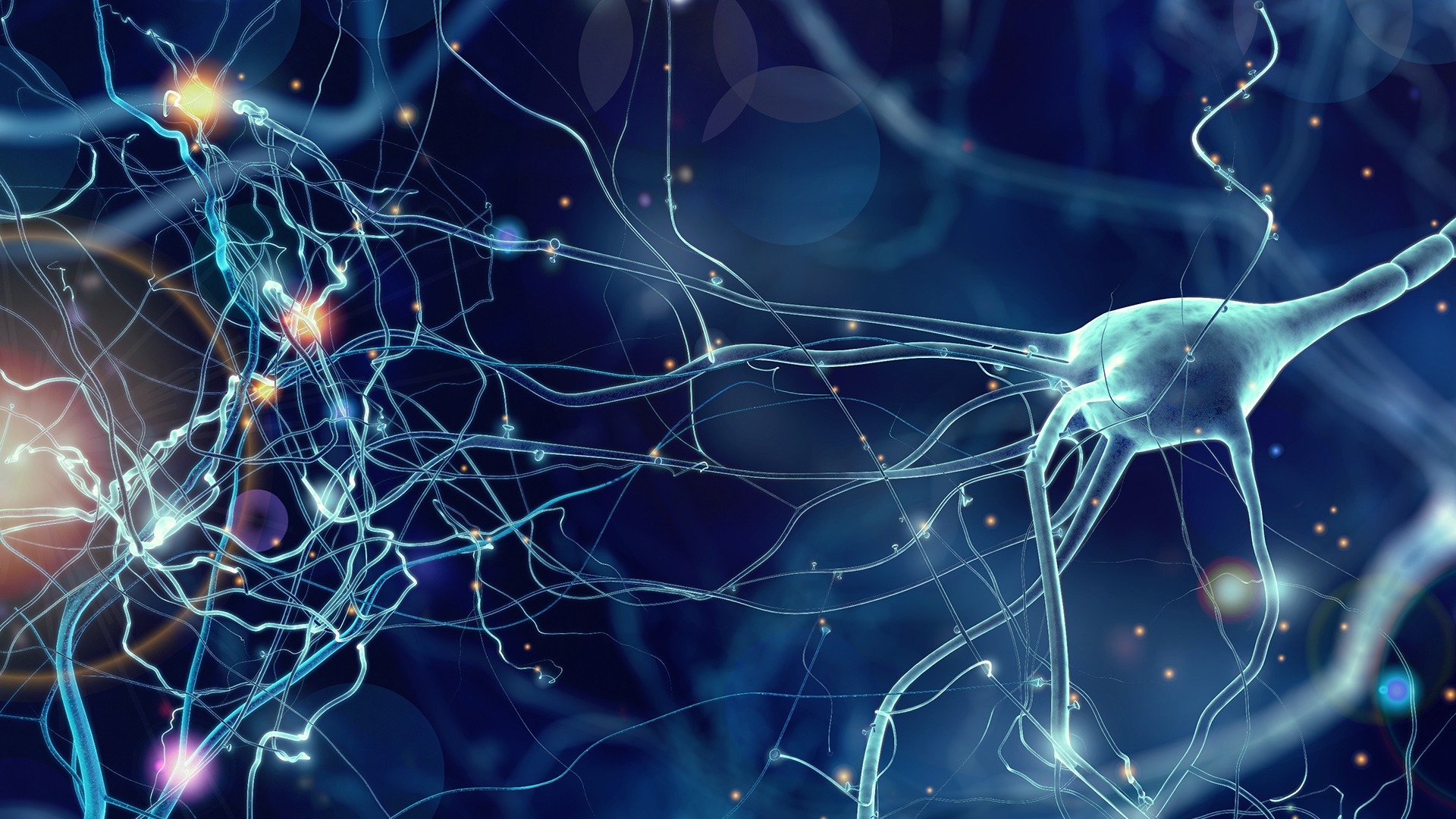 Скорость нейронов в мозге. Нейронные связи. Зеркальные Нейроны. Нейронная сеть. Нейрон красивый.