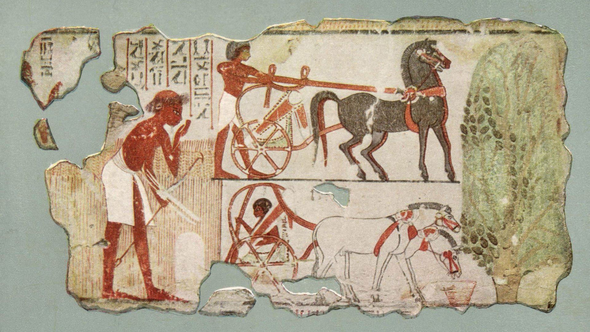 Где 1 в древности. Первые прирученные лошади. Лошади в древности. Ветеринария в древнем мире. Одомашнивание лошадей в древности.